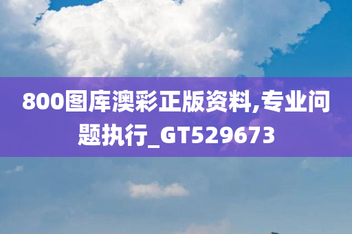 800图库澳彩正版资料,专业问题执行_GT529673