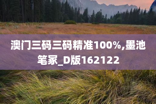 澳门三码三码精准100%,墨池笔冢_D版162122