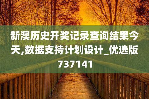 新澳历史开奖记录查询结果今天,数据支持计划设计_优选版737141