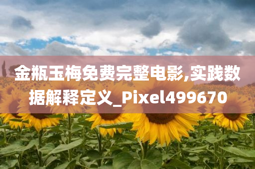 金瓶玉梅免费完整电影,实践数据解释定义_Pixel499670