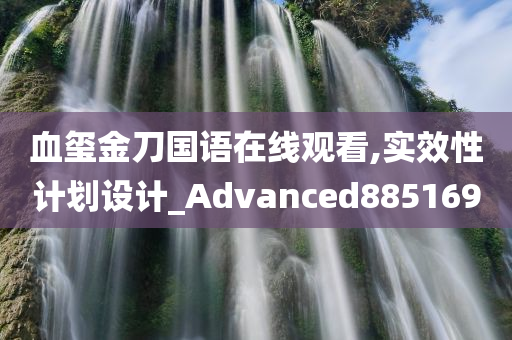 血玺金刀国语在线观看,实效性计划设计_Advanced885169