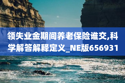 领失业金期间养老保险谁交,科学解答解释定义_NE版656931