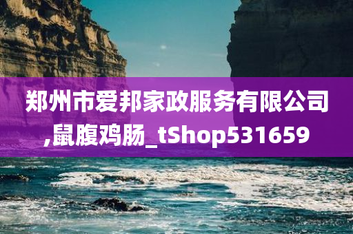 郑州市爱邦家政服务有限公司,鼠腹鸡肠_tShop531659