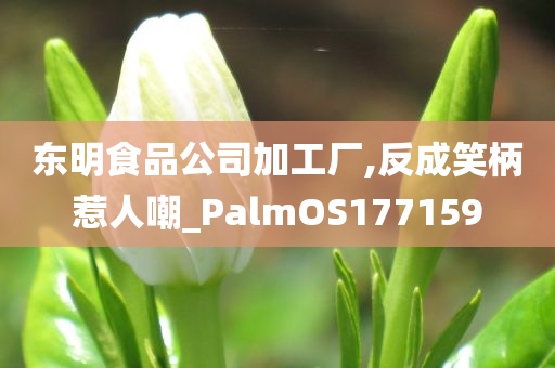 东明食品公司加工厂,反成笑柄惹人嘲_PalmOS177159