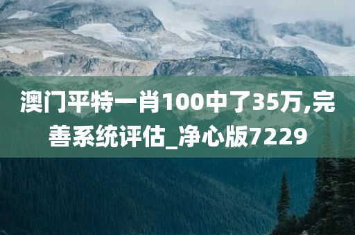 澳门平特一肖100中了35万,完善系统评估_净心版7229