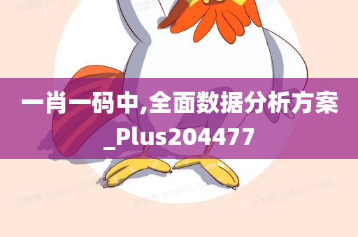 一肖一码中,全面数据分析方案_Plus204477