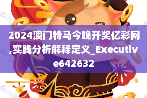 2024澳门特马今晚开奖亿彩网,实践分析解释定义_Executive642632