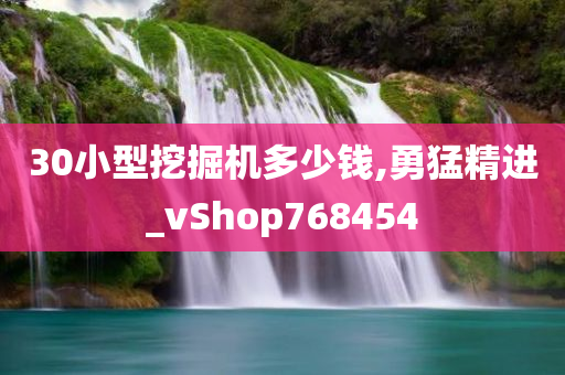 30小型挖掘机多少钱,勇猛精进_vShop768454