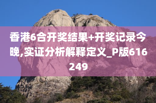 香港6合开奖结果+开奖记录今晚,实证分析解释定义_P版616249