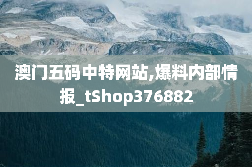 澳门五码中特网站,爆料内部情报_tShop376882