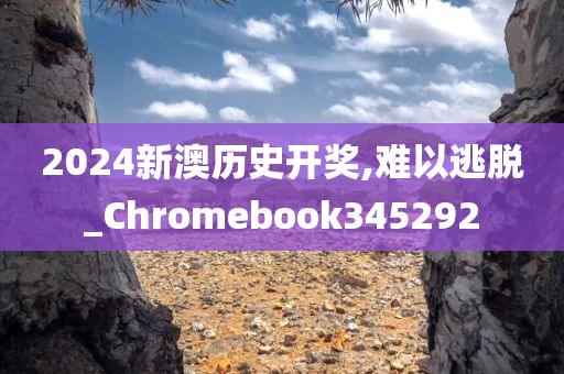 2024新澳历史开奖,难以逃脱_Chromebook345292