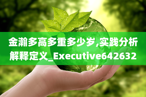 金瀚多高多重多少岁,实践分析解释定义_Executive642632