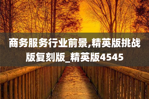 商务服务行业前景,精英版挑战版复刻版_精英版4545