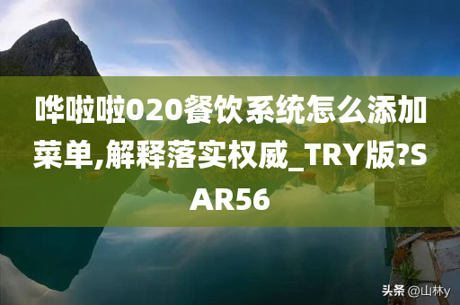 哗啦啦020餐饮系统怎么添加菜单,解释落实权威_TRY版?SAR56