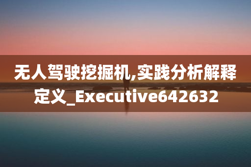 无人驾驶挖掘机,实践分析解释定义_Executive642632