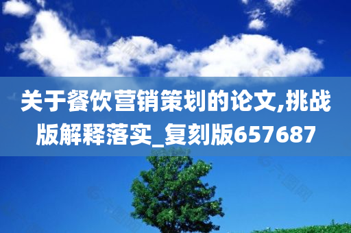 关于餐饮营销策划的论文,挑战版解释落实_复刻版657687