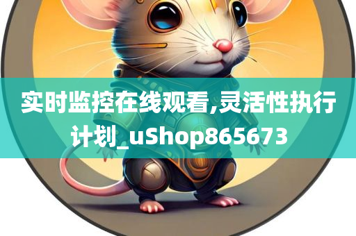 实时监控在线观看,灵活性执行计划_uShop865673