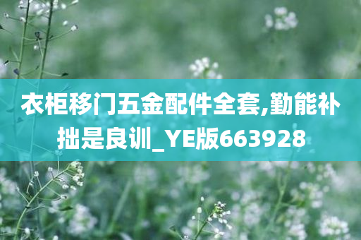 衣柜移门五金配件全套,勤能补拙是良训_YE版663928