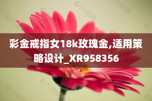 彩金戒指女18k玫瑰金,适用策略设计_XR958356