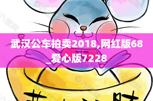 武汉公车拍卖2018,网红版68_爱心版7228