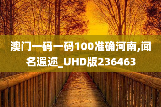 澳门一码一码100准确河南,闻名遐迩_UHD版236463