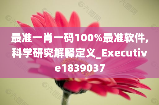 最准一肖一码100%最准软件,科学研究解释定义_Executive1839037