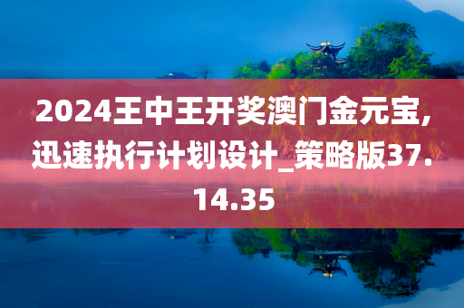 2024王中王开奖澳门金元宝,迅速执行计划设计_策略版37.14.35