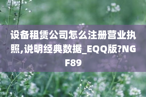 设备租赁公司怎么注册营业执照,说明经典数据_EQQ版?NGF89