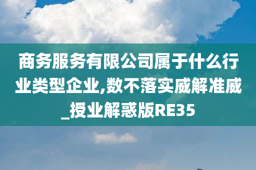 商务服务有限公司属于什么行业类型企业,数不落实威解准威_授业解惑版RE35