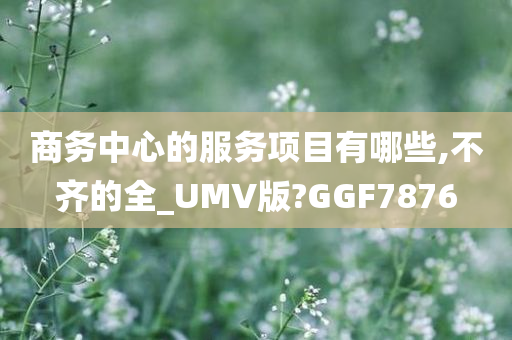 商务中心的服务项目有哪些,不齐的全_UMV版?GGF7876