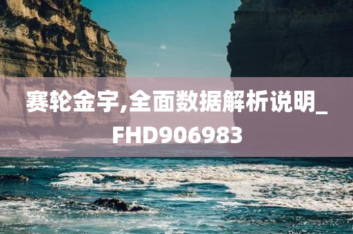 赛轮金宇,全面数据解析说明_FHD906983