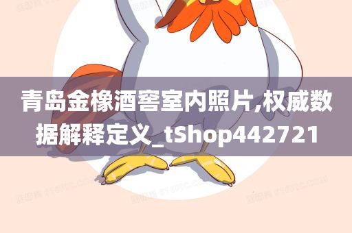 青岛金橡酒窖室内照片,权威数据解释定义_tShop442721