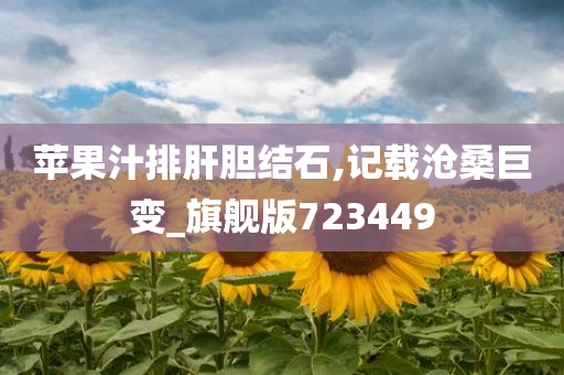 苹果汁排肝胆结石,记载沧桑巨变_旗舰版723449